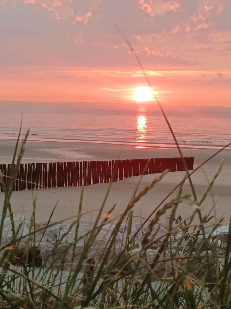 Sangatte Guest House - Studio Room Sunset - Seafront Zewnętrze zdjęcie
